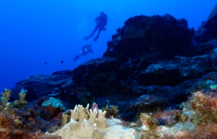 “บ้านใต้มหาสมุทร” ช่วยนักวิทย์ฯ ไขปริศนาโลกใต้ทะเลลึก