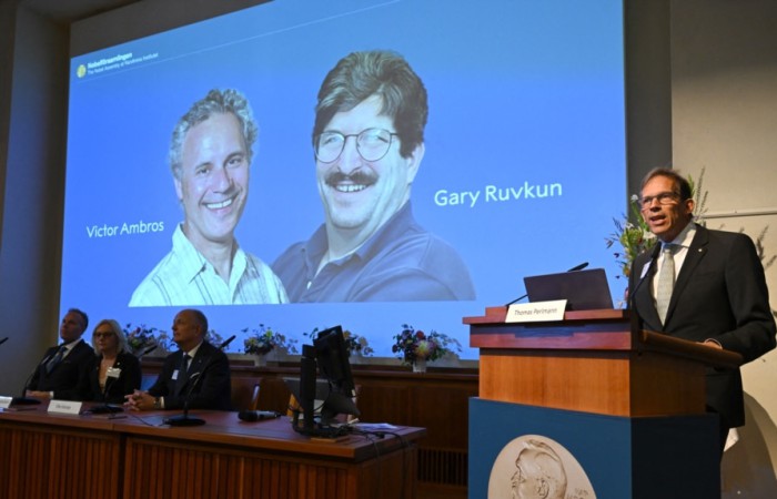 สองนักวิทย์อเมริกันคว้าโนเบลการแพทย์ จากผลงานค้นพบ microRNA 