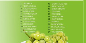 เชือดเกลี้ยง! ถ้าเป็นมาตรฐานอียู จากกรณีพบสารพิษในองุ่นไชน์มัสแคท