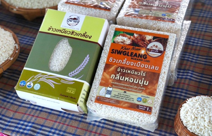 โชว์ “ซิวเกลี้ยง” ข้าวเหนียวไทยตัวท็อป GI จังหวัดเลย 